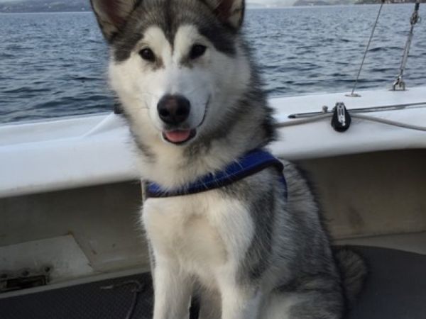 Eira av Yukavaara